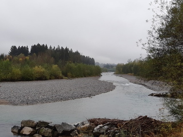 Hundetreffen 2019 im Allgäu (5)